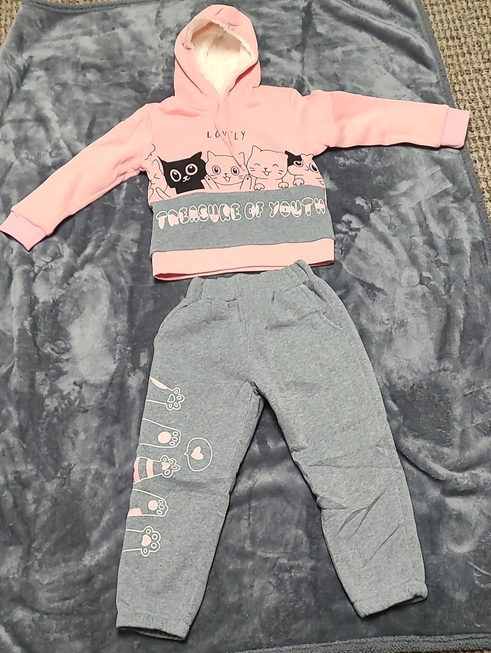 Lovely Kids Pink Hoodie & Gray Joggers Set - Cute Cat Graphic
